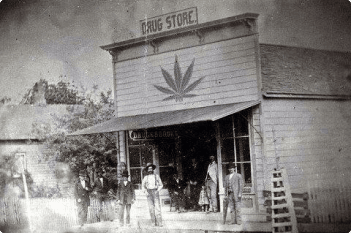 New Mexico cannabis history